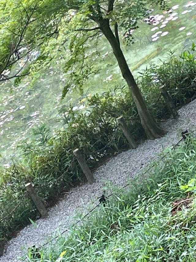 鮎料理かとれあ - サブ画像1