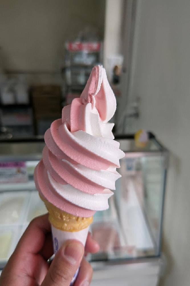 あいすの家 栗山店