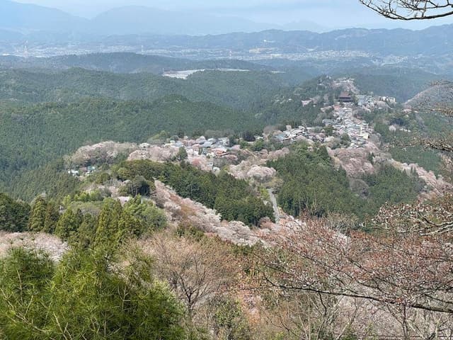 花矢倉展望台 子守茶屋 - サブ画像2