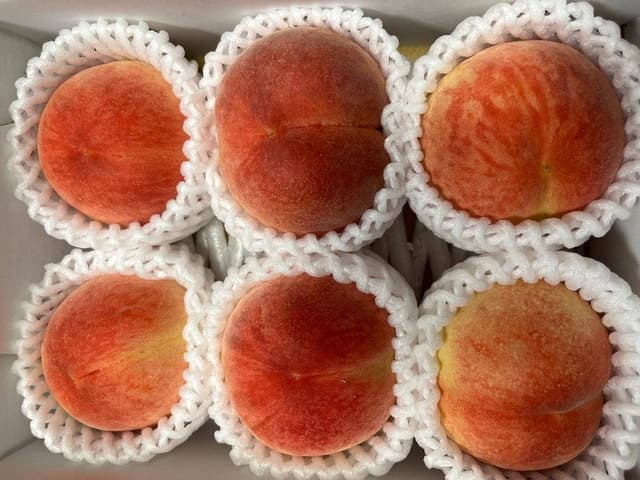 あだたら横丁 上り線 - サブ画像3