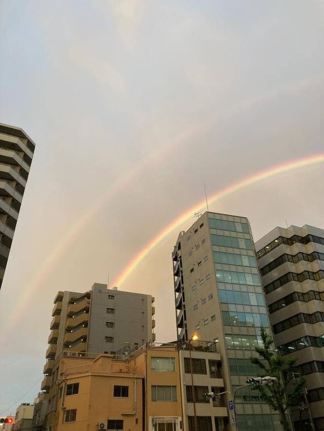 なか卯 京町堀店 - サブ画像1