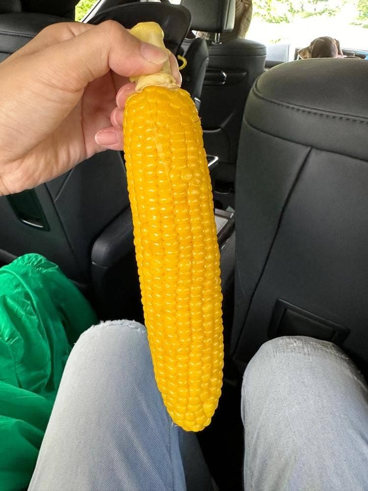 柳田とうもろこし店