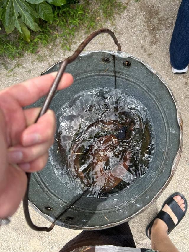 塩釜養魚センター - サブ画像1
