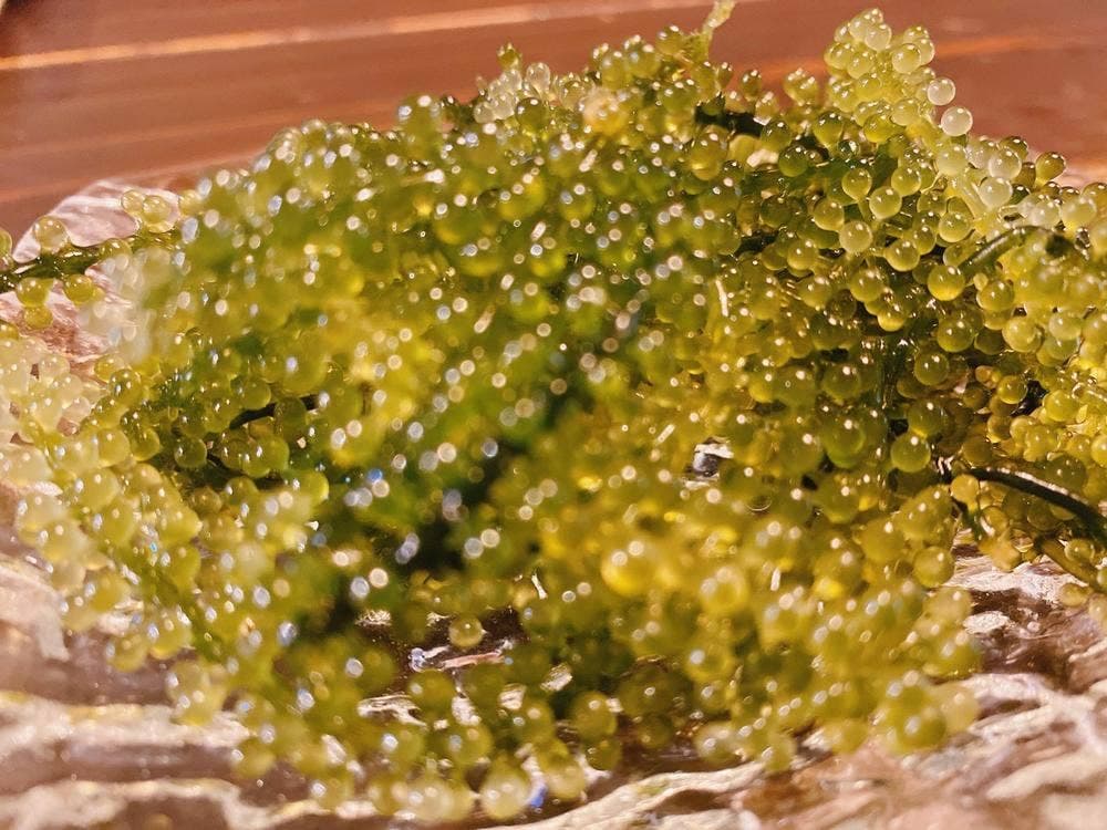 八重山そば 夢乃屋