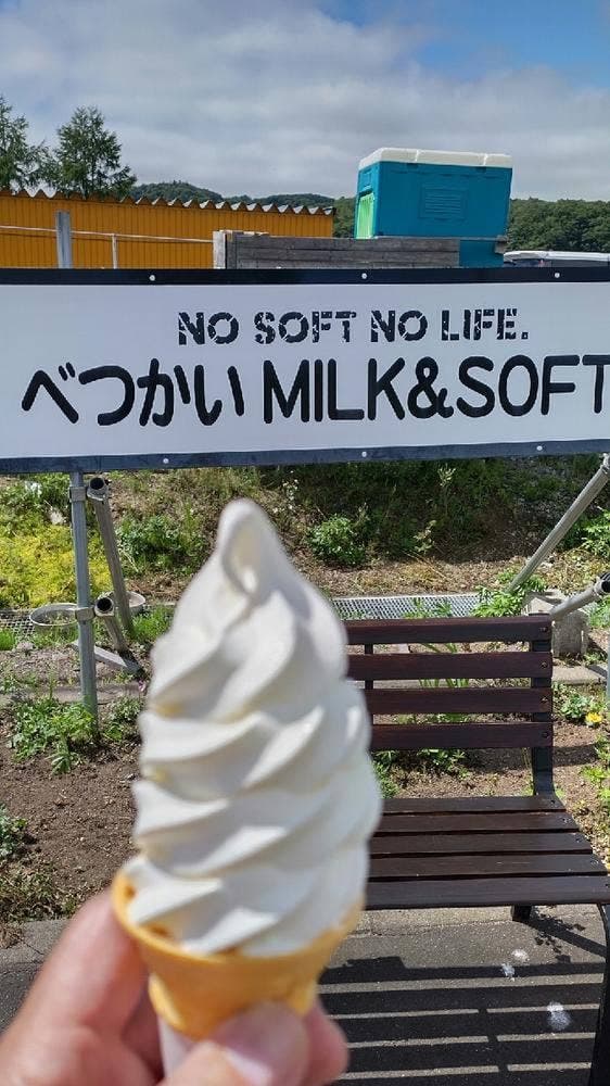 NO SOFT NO LIFE - サブ画像2