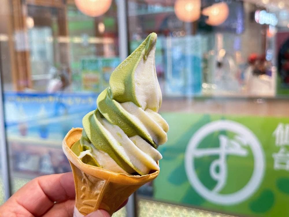 アグリエの森 mitte