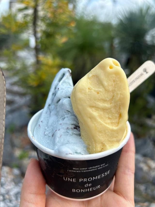 コート・ダジュール メゾン店 - サブ画像1