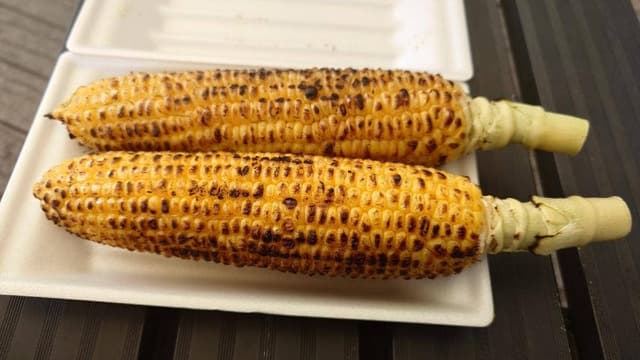 八ッ場ふるさと館 - サブ画像1