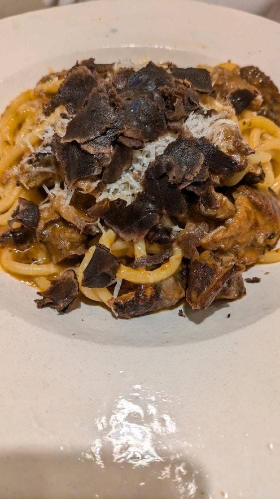 PASTAIO PULCINO - サブ画像3