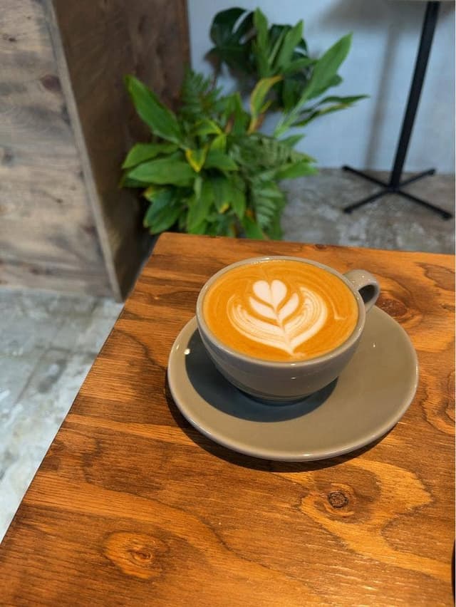 BECAUSE COFFEE BREWERS - サブ画像1
