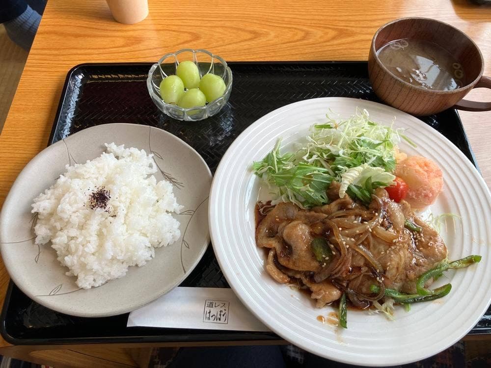 道の駅レストラン はっぽう おらほの館