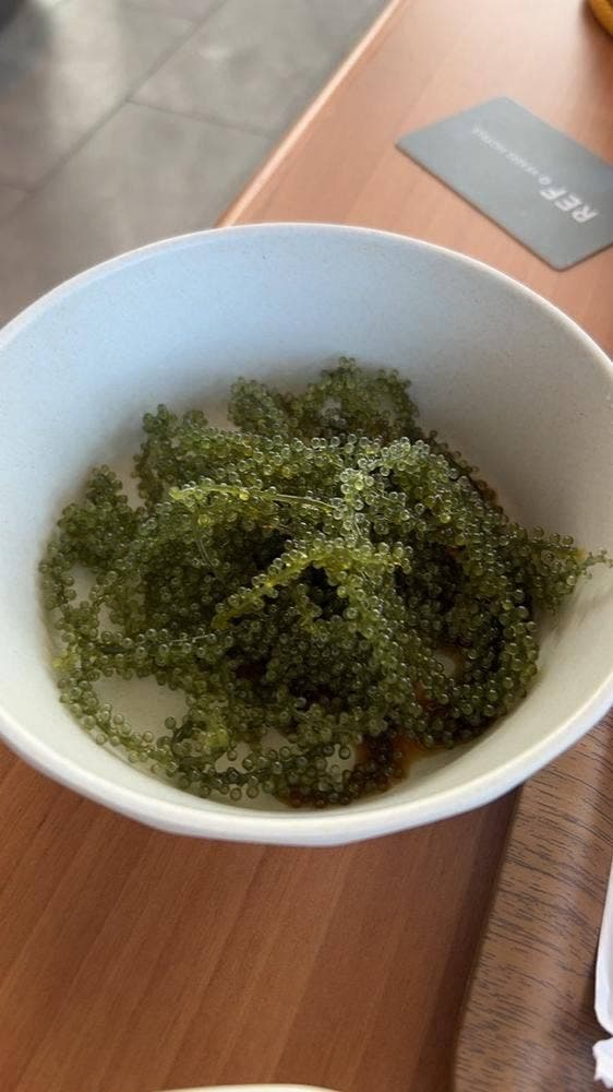 YURARIRA