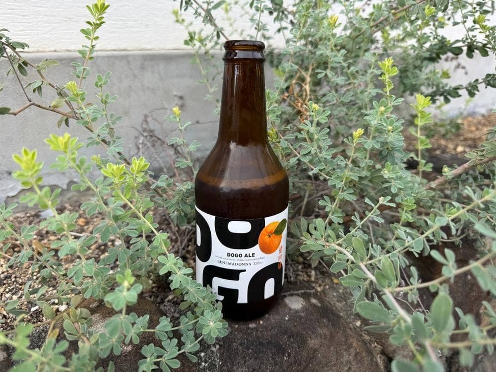 伊織 松山お城下店