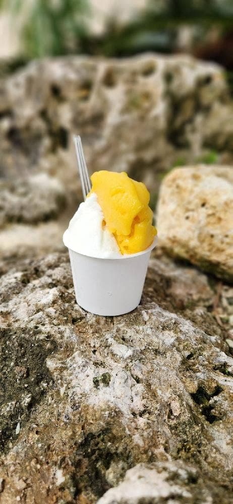 石垣島ミルミル本舗 石垣空港店 - サブ画像1