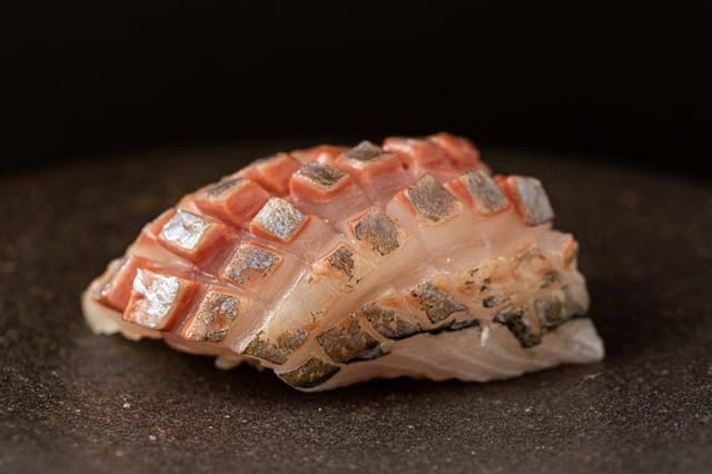 ながり鮨 錬 - サブ画像3