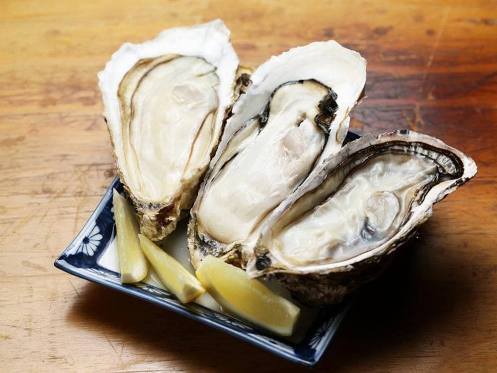 三陸居酒屋 漁火