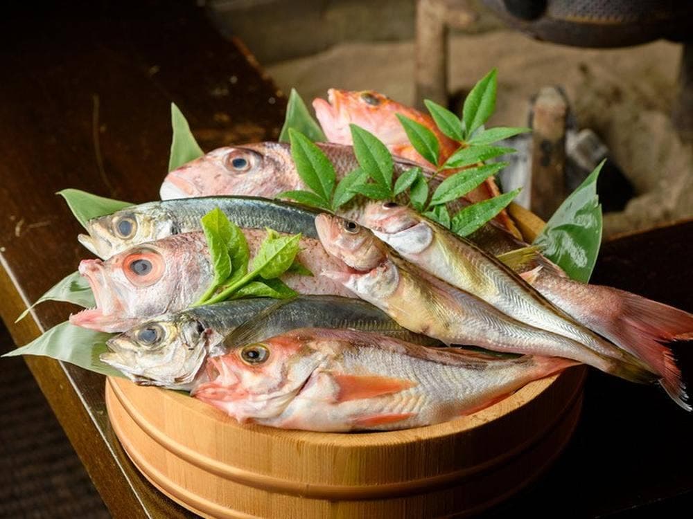 赤兎馬