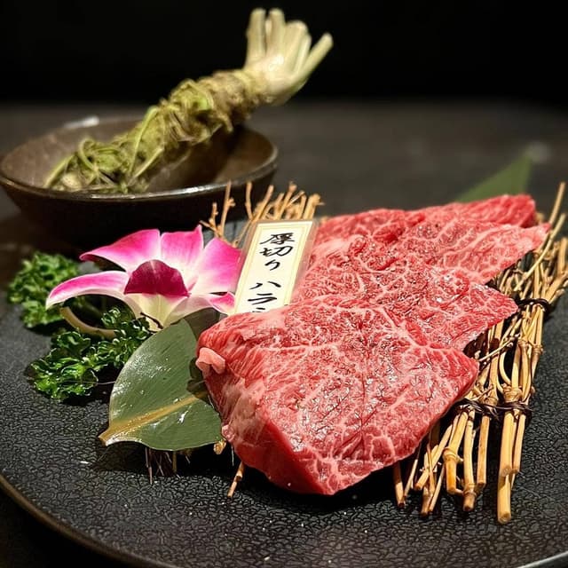PONGA PREMIUM - サブ画像1