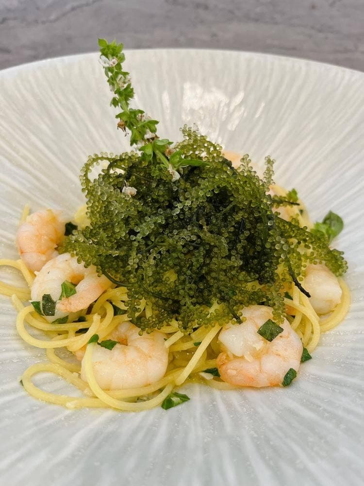 PASTA HOUSE 庭 NIWA