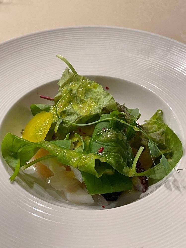 ショコラ・ノア