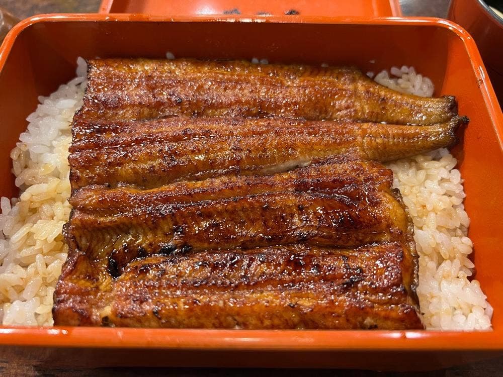 鰻 やっこ