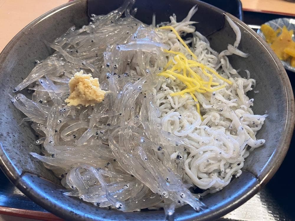 マイアミ貝新