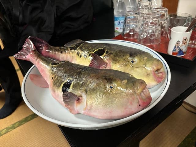 相撲茶屋 大塚 - サブ画像2