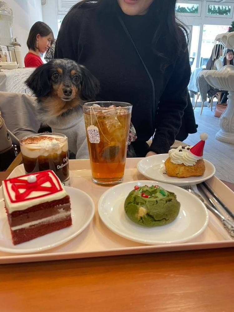 CAFE DALCOMHADA
