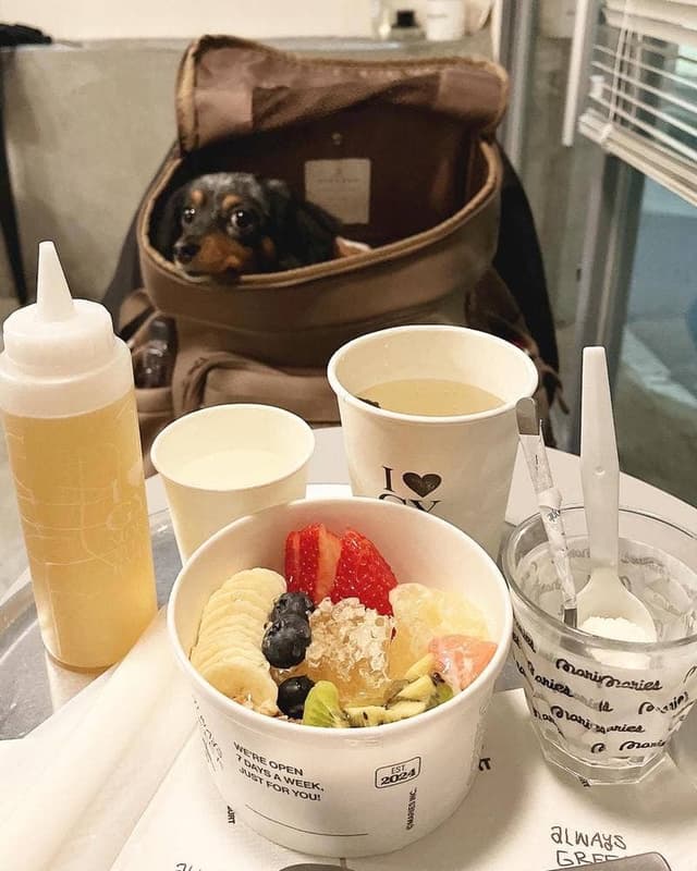 MARIES GREEK YOGURT - サブ画像1