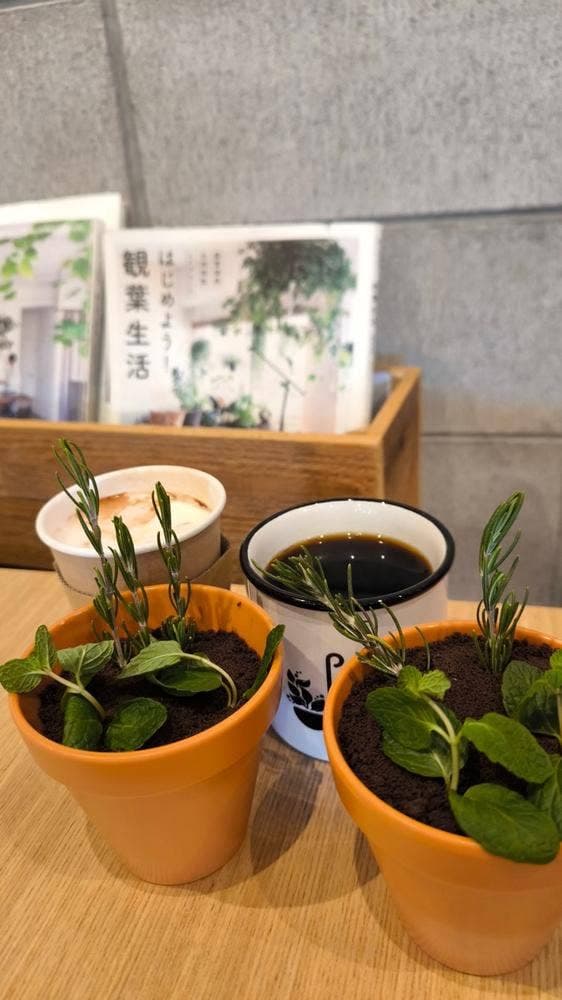 the SOUP green & cafe - サブ画像3