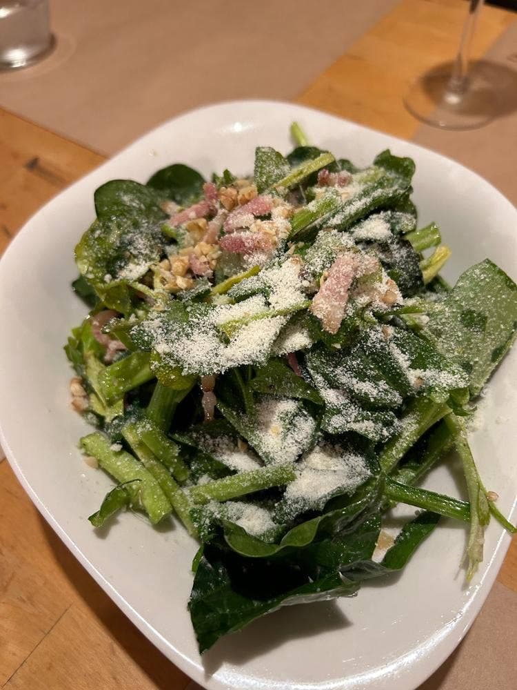 TRATTORIA Mocco トラットリア モッコ