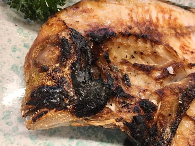 たぬき - サブ画像1