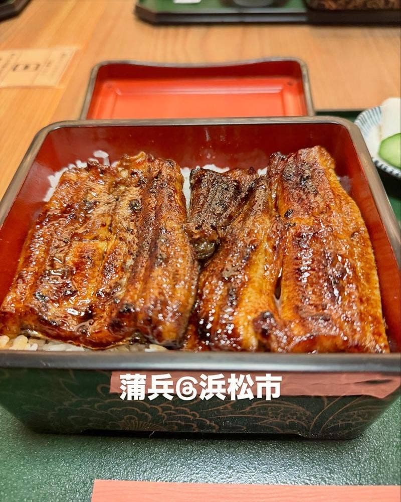 蒲兵