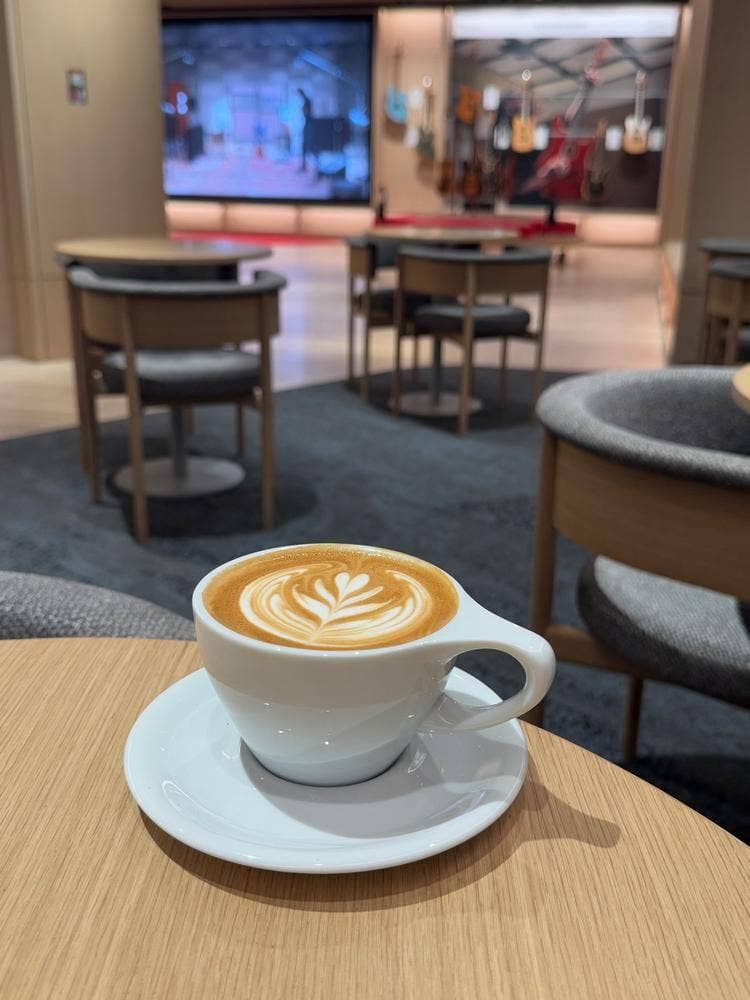 FENDER CAFE