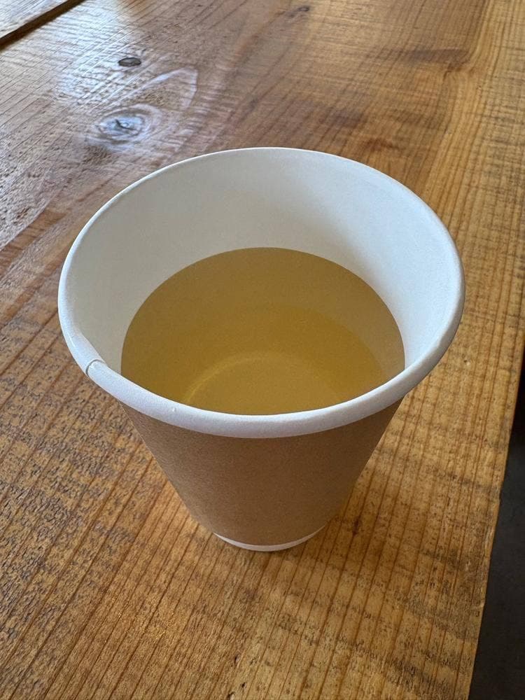 下賀茂温泉 湯の花