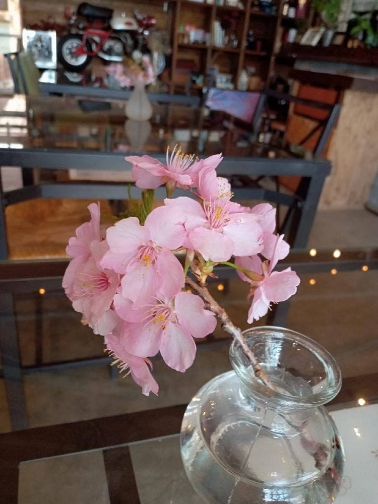 70 nanamaru cafe