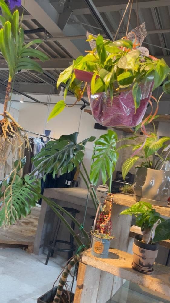 Layers coffee - サブ画像3