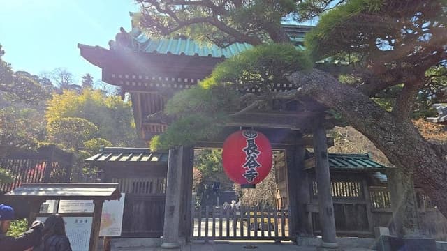 長谷寺 見晴台 茶屋 - サブ画像3