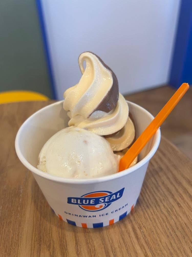 ブルーシール 群馬大泉店