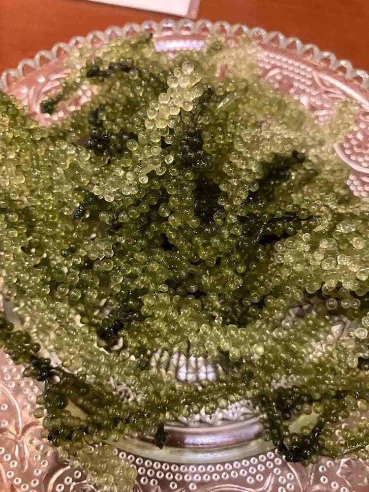 居酒や こだま