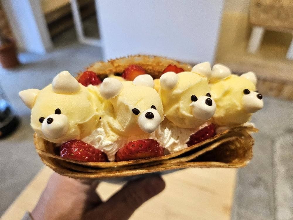D258 crepe