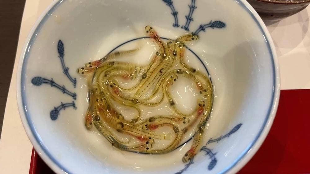 日本料理 とり市