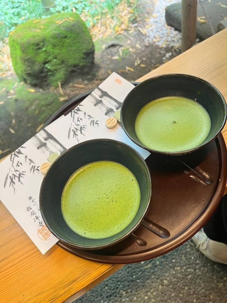 休耕庵 竹の庭の茶席