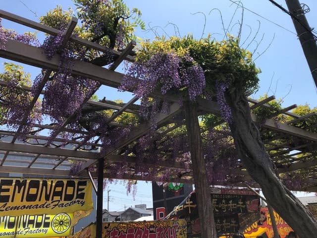 焼鳥酒場 虜 春日部店 - サブ画像2