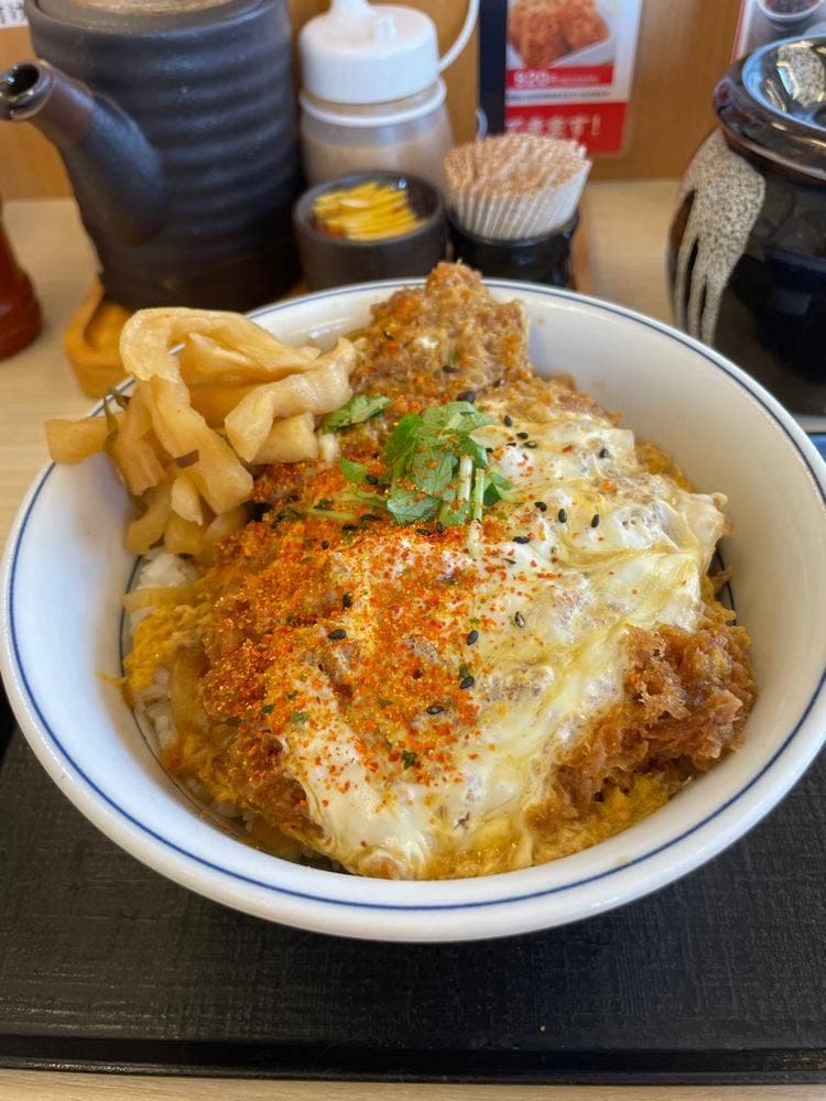 かつや 藤沢湘南台店
