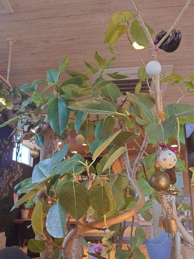 grow cafe - サブ画像1