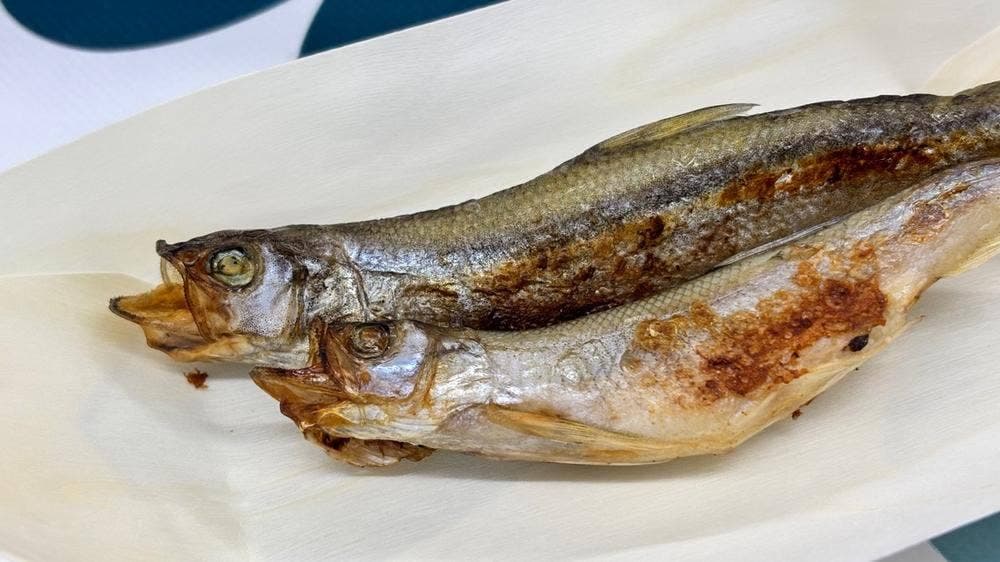 カネダイ大野商店