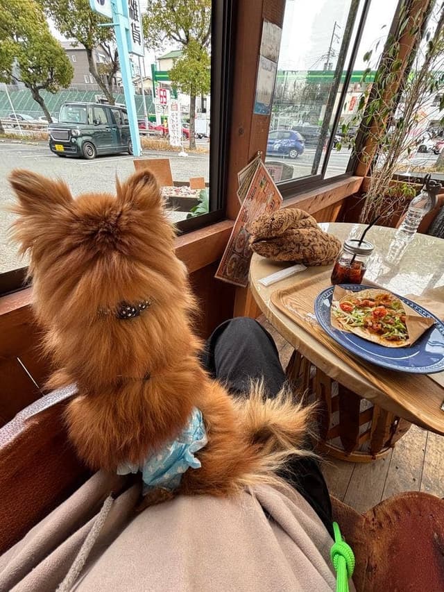 レインボーカフェ 枚方店 - サブ画像2