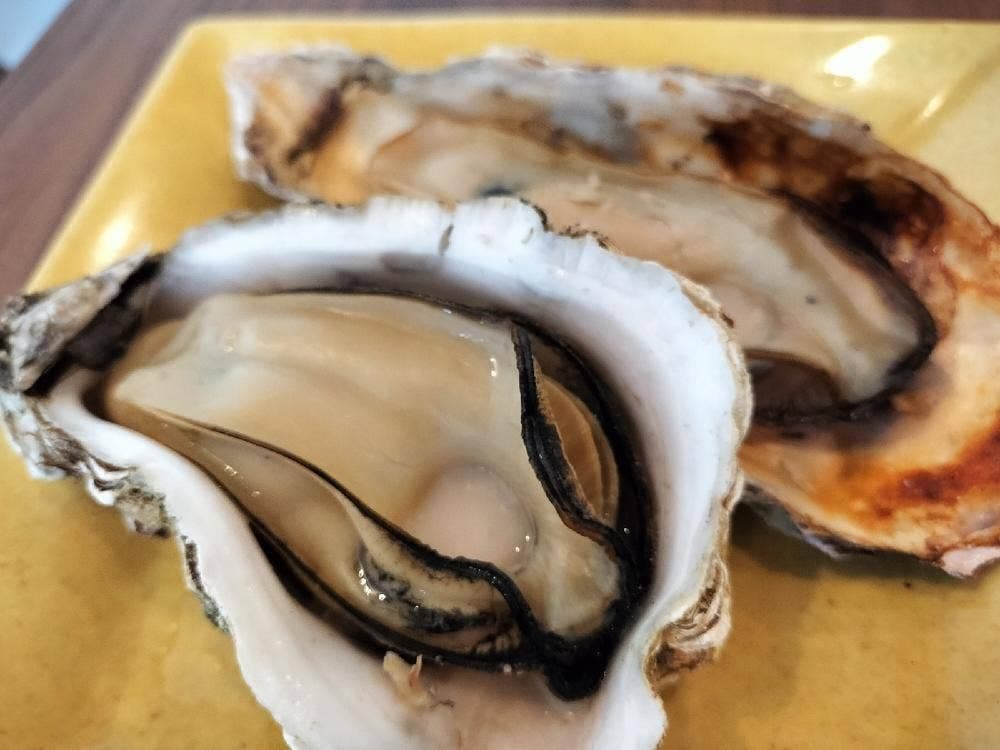 さくらや