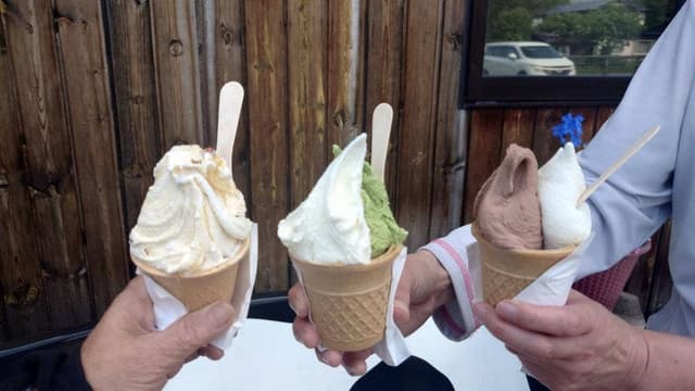 松ぼっくり - サブ画像2